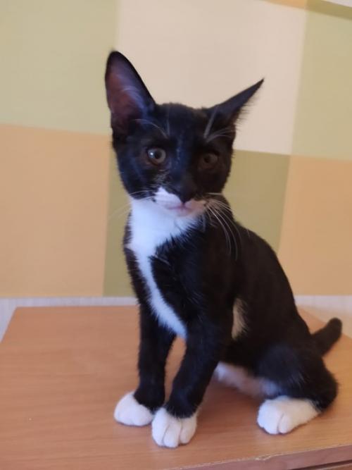 Москва и мо! 01 Москва и мо! 01