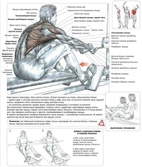 Упражнения.  Спина.  Все самое полезное и то, что сделает тебя сильнее! 07