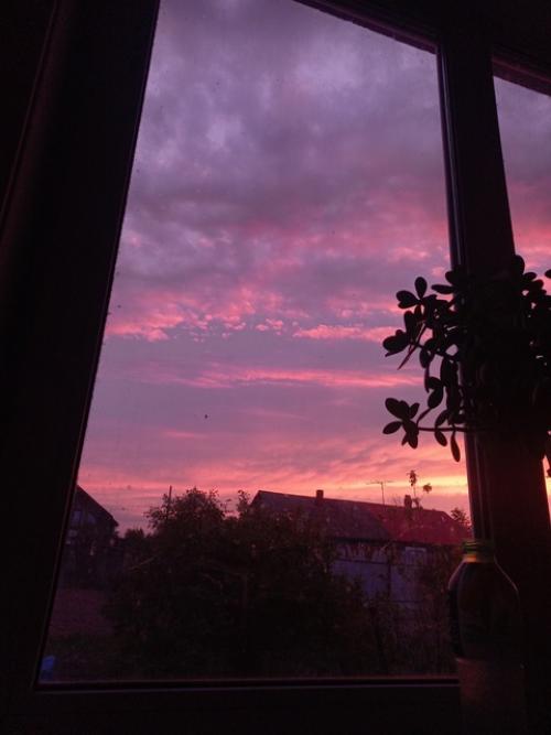 Я Даша, живу рядом с Владивостоком, учусь на логиста и им же работаю. 02 Я Даша, живу рядом с Владивостоком, учусь на логиста и им же работаю. 02