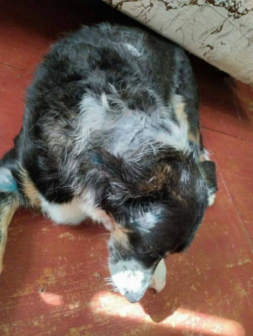 Эпизод 457.  Нападение в парке. 01