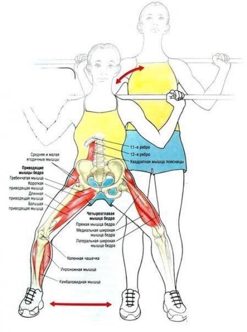 Упражнения для ягодиц и ног? 03 Упражнения для ягодиц и ног? 03