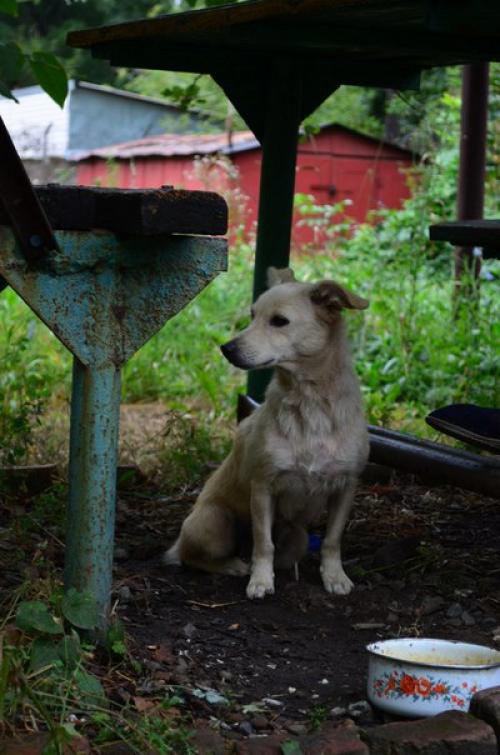 SOS SOS SOS! 03 SOS SOS SOS! 03