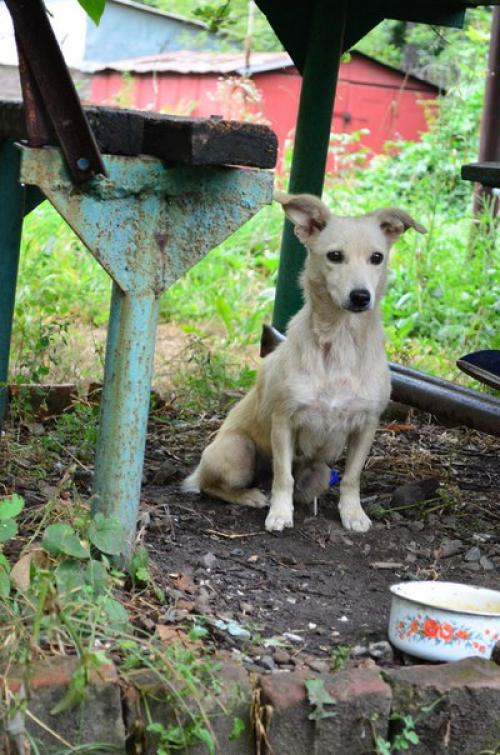 SOS SOS SOS! 05 SOS SOS SOS! 05