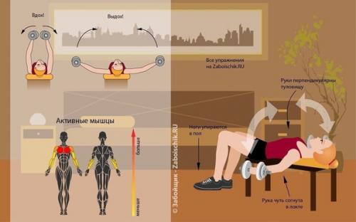 Совет?   Мы тренируем все группы мышц в домашних условиях? 06