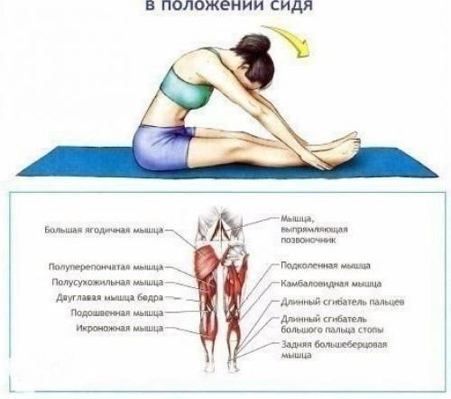 Лучшие упражнения на растяжку? 04