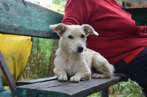 SOS SOS SOS! 04 SOS SOS SOS! 04