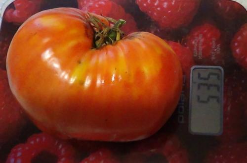 Удачный сезон. О своём удачном сезоне рассказывает Елена бурчилина. 01 Удачный сезон. О своём удачном сезоне рассказывает Елена бурчилина. 01