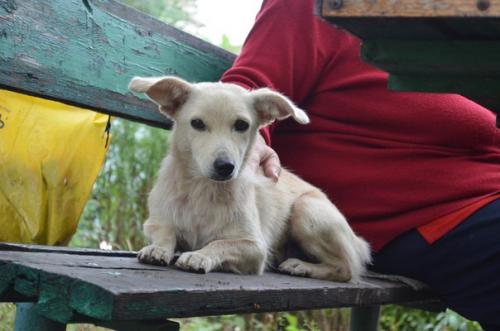 SOS SOS SOS! 02 SOS SOS SOS! 02