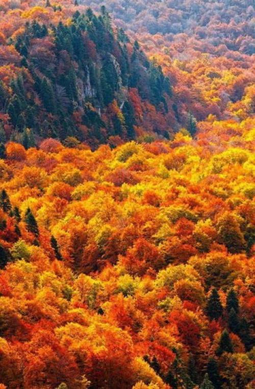 Дыхание осени.  В сущности качество жизни определяется простым мерилом - умеем ли мы дышать. 01