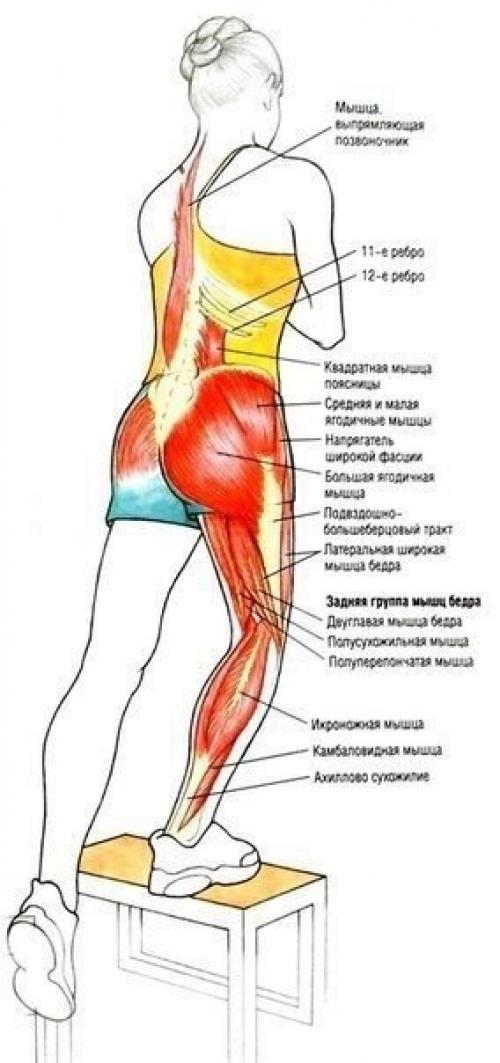 Упражнения для ягодиц и ног? 06 Упражнения для ягодиц и ног? 06