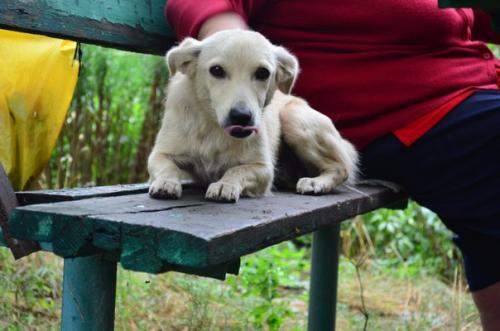 SOS SOS SOS! 01 SOS SOS SOS! 01