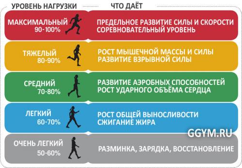 Пульсовые зоны для бега калькулятор. Расчет пульса (ЧСС) для разных зон нагрузки