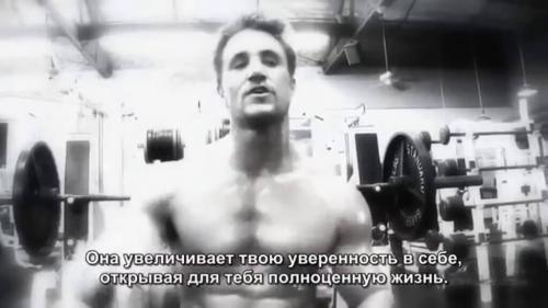 Цитаты Грега Плитта