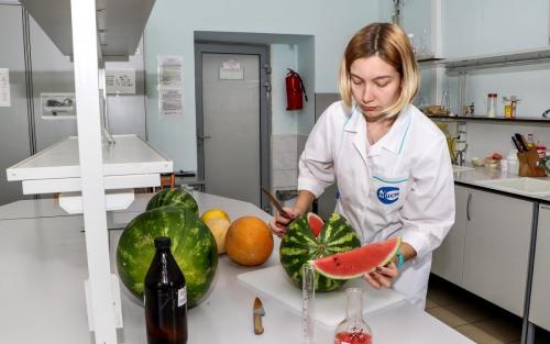 Можно ли арбуз худеющим. Можно ли арбуз при похудении