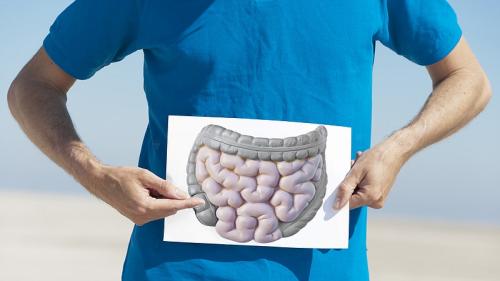 Арбуз польза для кишечника. Польза арбуза для кишечника