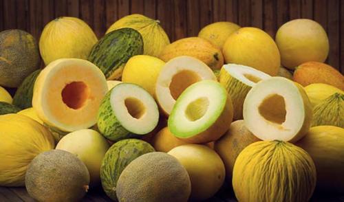 Сколько это 100 грамм дыни. Царица дыня 05