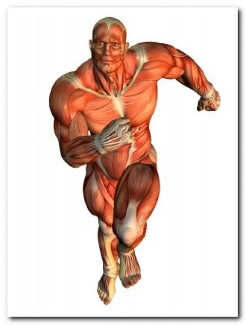 Можно ли делать кардио после силовой тренировки. Вариант 2 — кардио после силовой