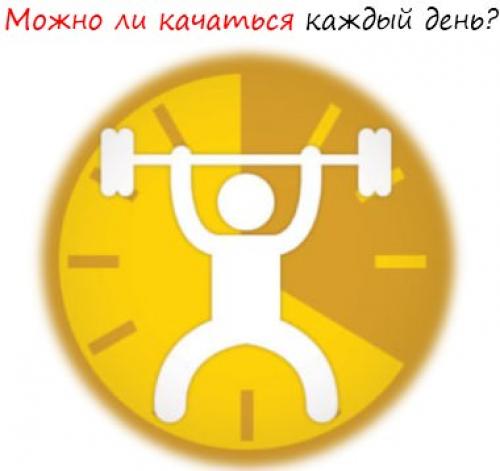 Программа тренировок на каждый день в тренажерном зале. Можно ли качаться каждый день? Вся правда.