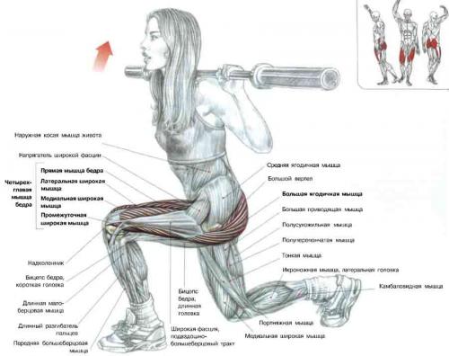 Похудеть в тренажерном зале программа для женщин. Женское похудение в тренажёрном зале