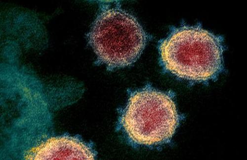 Лекарство от коронавируса 2020 найдено в России » Fozo.INFO. Вирусологи обнаружили блокирующий коронавирус препарат 02 Лекарство от коронавируса 2020 найдено в России » Fozo.INFO. Вирусологи обнаружили блокирующий коронавирус препарат 02