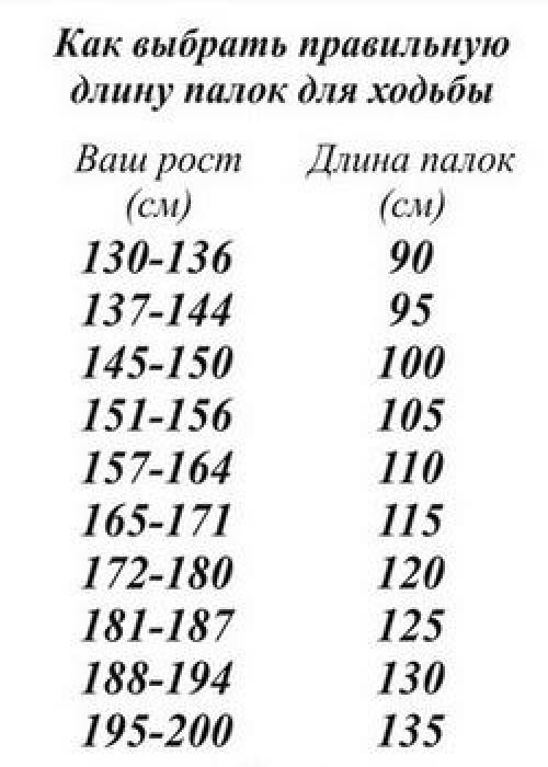 Скандинавская ходьба польза. Скандинавская ходьба – польза и вред для здоровья