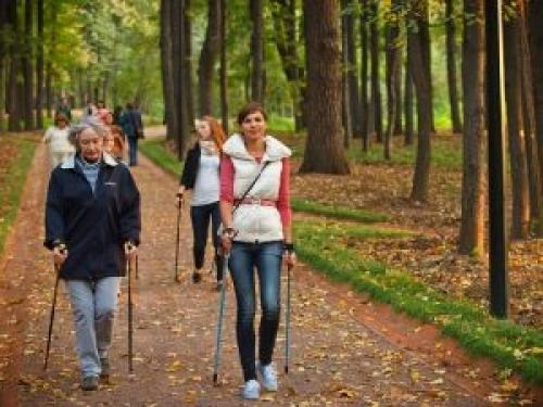Скандинавская ходьба польза. Скандинавская ходьба – польза и вред для здоровья