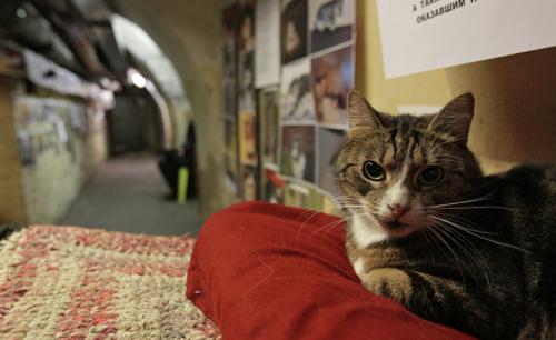 Основные факты о России. 59 потрясающих фактов о России