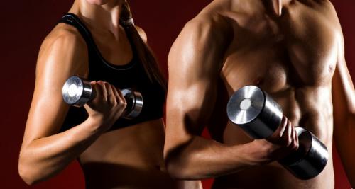 Программа тренировок для набора мышечной массы в домашних условиях. Тренировки для набора мышечной массы