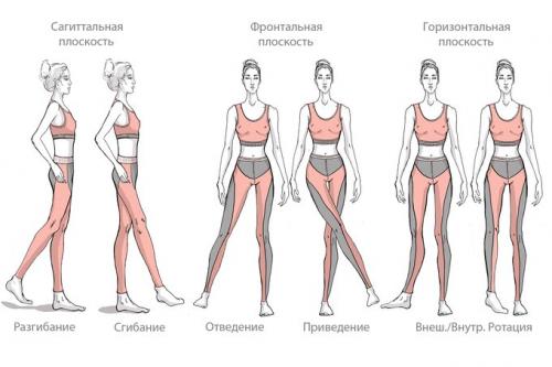 УПРАЖНЕНИЯ в горизонтальной Плоскости.
