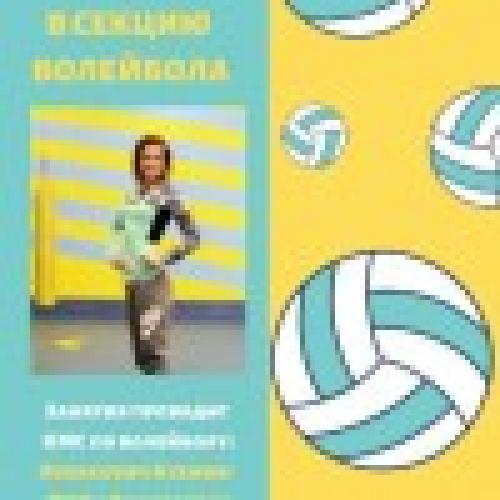 Бесплатные секции по волейболу в Москве. Волейбол в Москве и Подмосковье