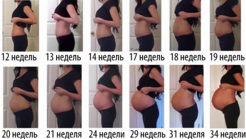 Когда начнет расти живот. Как растет живот при беременности