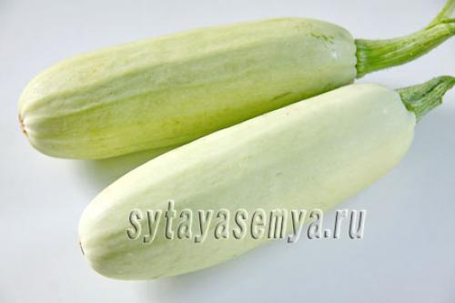 Оладьи из кабачков сладкие. Сладкие оладьи из кабачков