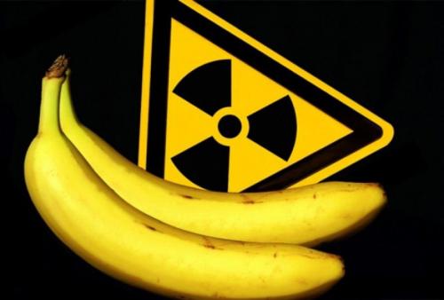 Интересное о фруктах для детей. 12 интересных фактов о фруктах