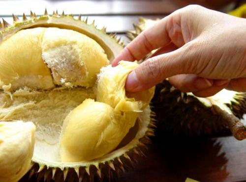 Интересные факты о дуриане. Факты о дуриане