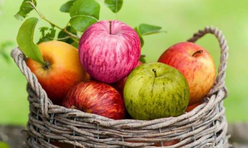 Интересные факты о плодах. Интересные факты о фруктах