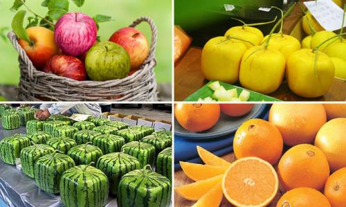 Интересные факты о плодах. Интересные факты о фруктах