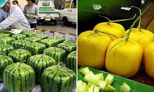 Интересные факты о плодах. Интересные факты о фруктах