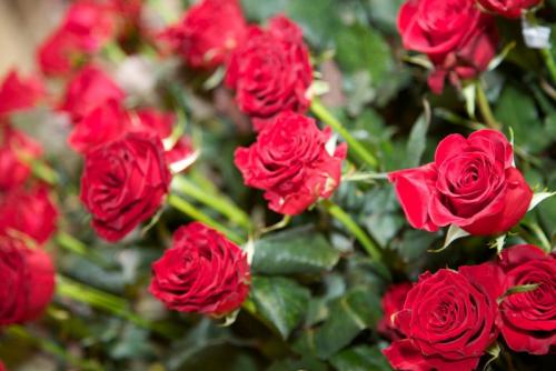 Интересное о фруктах для детей. 12 интересных фактов о фруктах