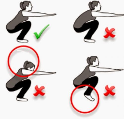 Программа тренировок в домашних условиях для девушек. Программа тренировок для девушек в домашних условиях