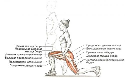 Программа тренировок в домашних условиях для девушек. Программа тренировок для девушек в домашних условиях