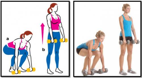 Программа тренировок в домашних условиях для девушек. Программа тренировок для девушек в домашних условиях