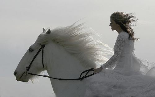 Конник девушка и лошадь. Девушка и лошадь