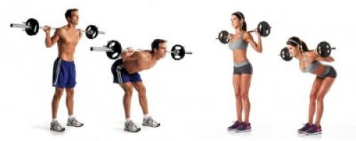 Виды тренировок. Силовые тренировки и их виды