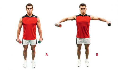 Фитнес-зарядка. Правильная ежедневная фитнес-зарядка для похудения