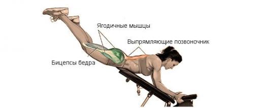 Обратные гиперэкстензии. Преимущества обратной гиперэкстензии и техника ее выполнения