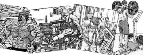 Виды силовых тренировок