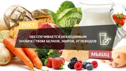 Виды гипертрофии мышц. Мышечная гипертрофия