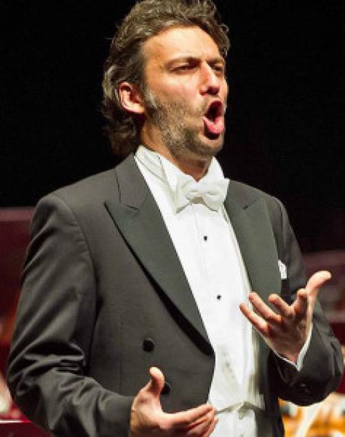 Как поставить голос и речь. Почему это так важно — аналогия с ударом кулака