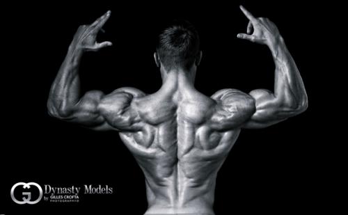 Райан Терри — программа тренировок, биография