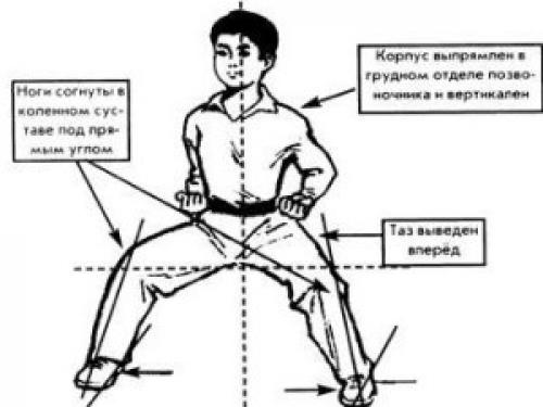 Мабу стойка польза. Стойка мабу
